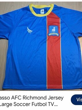 AFC Richmond men' Blue & Red Soccer Jersey costume Unbranded